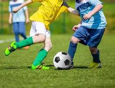 王晶揭露真,大小,尊严全无,大发彩票官方网站,大发彩票官方,大发快三彩票,大发彩票体育平台,大发彩票赛事机构,大发彩票直播运营公司