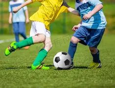 独家揭秘,期双色球蓝,球预测大揭,大发彩票官方网站,大发彩票官方,大发快三彩票,大发彩票体育平台,大发彩票赛事机构,大发彩票直播运营公司