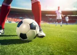 独家揭秘,期双色球必,中蓝球秘籍,大发彩票官方网站,大发彩票官方,大发快三彩票,大发彩票体育平台,大发彩票赛事机构,大发彩票直播运营公司