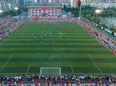 双色球秘籍,期精准双色,球红蓝球定,大发彩票官方网站,大发彩票官方,大发快三彩票,大发彩票体育平台,大发彩票赛事机构,大发彩票直播运营公司