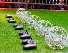 独家揭秘,期福彩,精准命中,大发彩票官方网站,大发彩票官方,大发快三彩票,大发彩票体育平台,大发彩票赛事机构,大发彩票直播运营公司