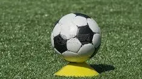 【马蹄疾风】马年双色球预测盛宴：揭秘必中杀号11、17、31，财运亨通就在今朝！