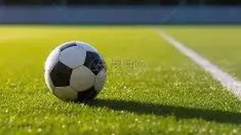 【彩神秘籍】大乐透2026011期必杀号预测：前区焦点号码05、23、25独家揭晓！