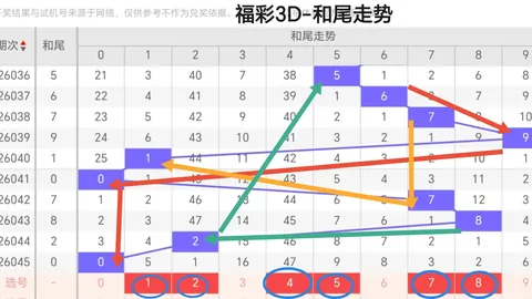 排列三2026082期预测：专家质合分析推荐前区十码及一码7