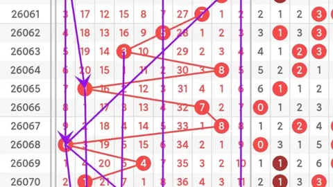 排列三五第103期林妹妹靓推荐及质合分析